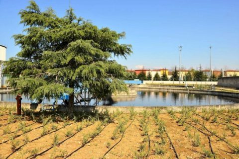 Demirtaş Industrial Zone Wastewater Treatment Plant and Recycling Facility